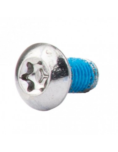 Brake disk bolts (per 12)