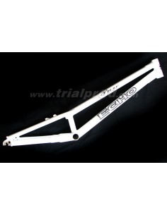Echo pure 2009 frame (white or silver)
